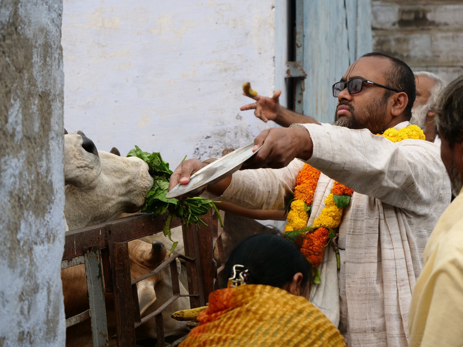  253 Gopashtami Radha kunda Govardhan 19.11.04